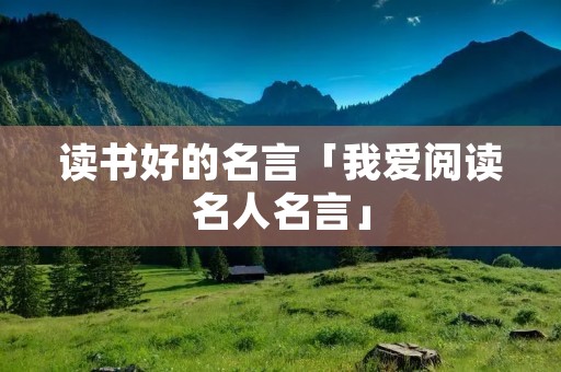 读书好的名言「我爱阅读名人名言」