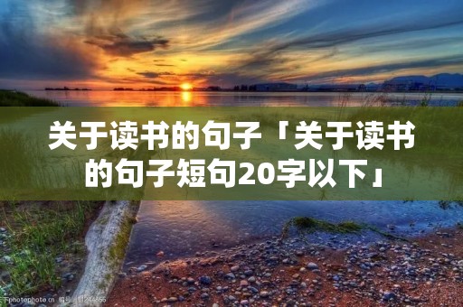 关于读书的句子「关于读书的句子短句20字以下」