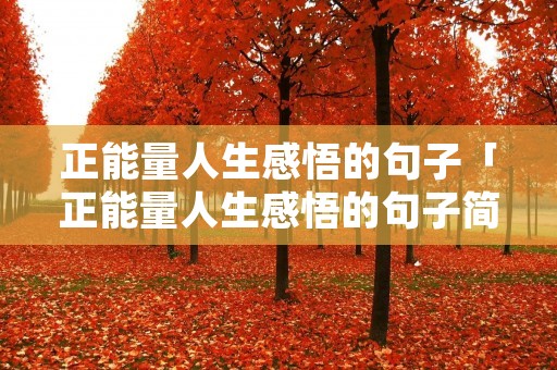 正能量人生感悟的句子「正能量人生感悟的句子简短的」