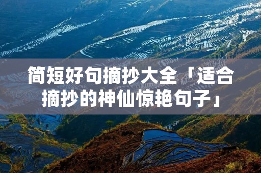 简短好句摘抄大全「适合摘抄的神仙惊艳句子」 简短好句摘抄大全「适合摘抄的神仙惊艳句子」