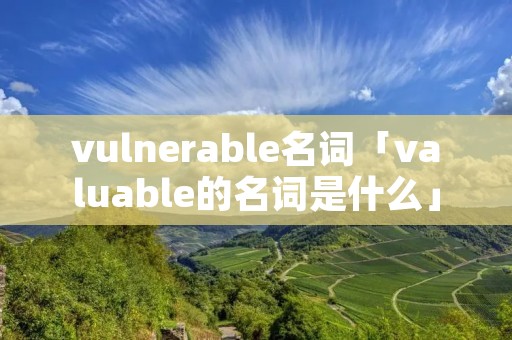 vulnerable名词「valuable的名词是什么」