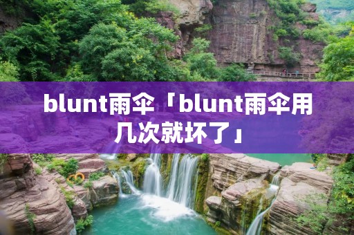 blunt雨伞「blunt雨伞用几次就坏了」