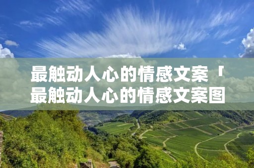 最触动人心的情感文案「最触动人心的情感文案图片」