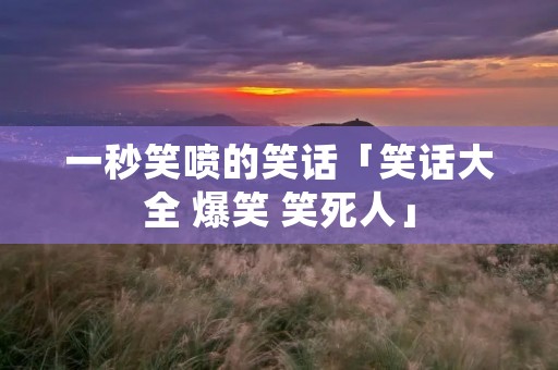 一秒笑喷的笑话「笑话大全 爆笑 笑死人」