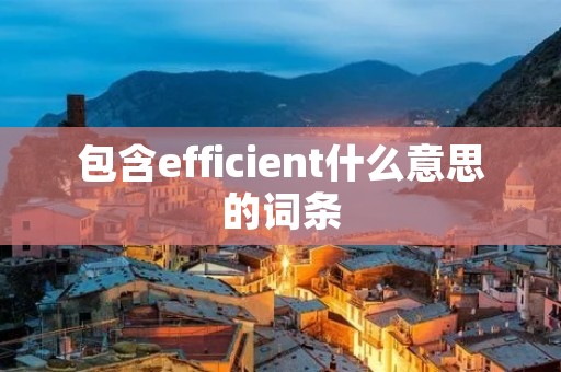 包含efficient什么意思的词条