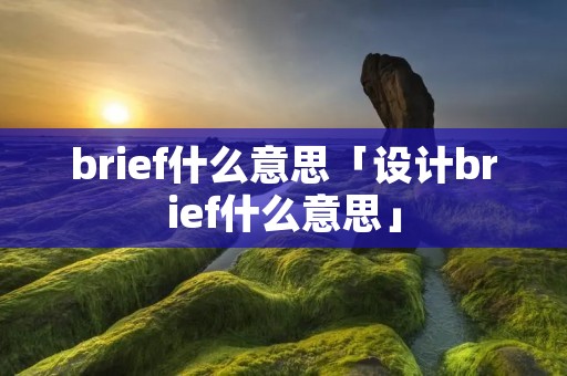 brief什么意思「设计brief什么意思」