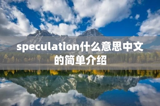 speculation什么意思中文的简单介绍