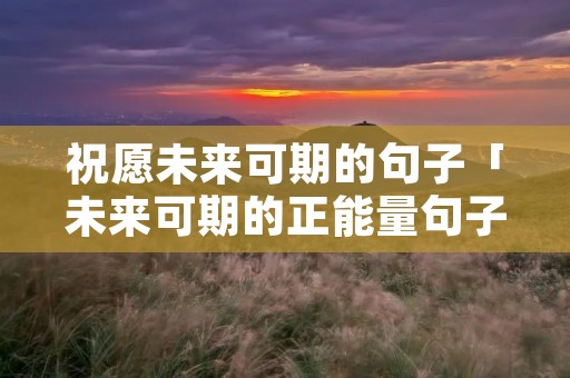 祝愿未来可期的句子「未来可期的正能量句子」