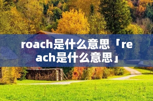 roach是什么意思「reach是什么意思」