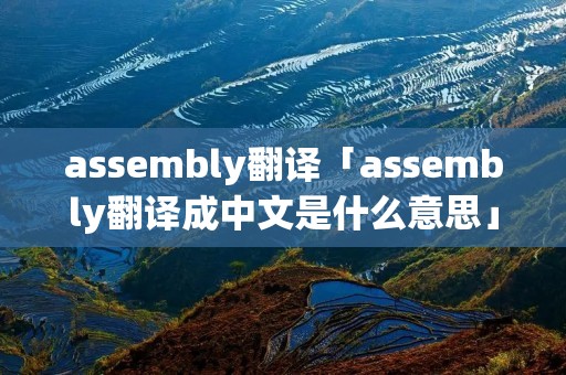 assembly翻译「assembly翻译成中文是什么意思」