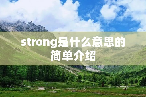 strong是什么意思的简单介绍