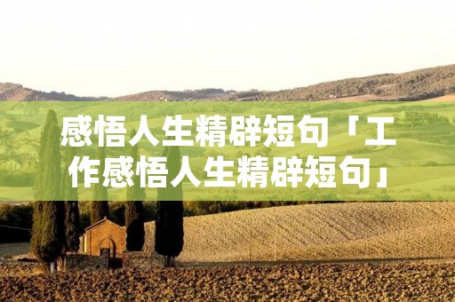 感悟人生精辟短句「工作感悟人生精辟短句」