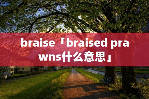 braise「braised prawns什么意思」
