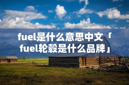 fuel是什么意思中文「fuel轮毂是什么品牌」