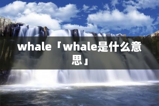 whale「whale是什么意思」