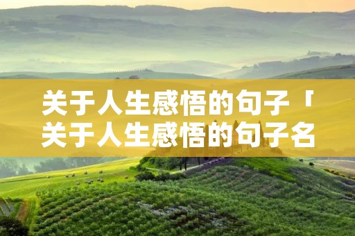 关于人生感悟的句子「关于人生感悟的句子名人名言」