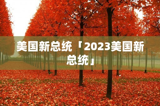 美国新总统「2023美国新总统」