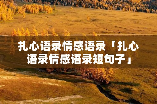 扎心语录情感语录「扎心语录情感语录短句子」