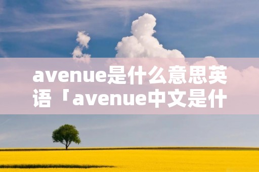 avenue是什么意思英语「avenue中文是什么意思」