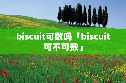 biscuit可数吗「biscuit可不可数」