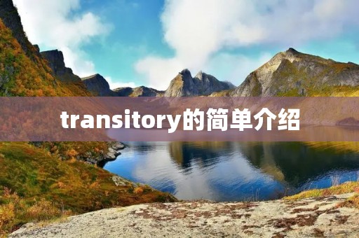 transitory的简单介绍 transitory的简单介绍