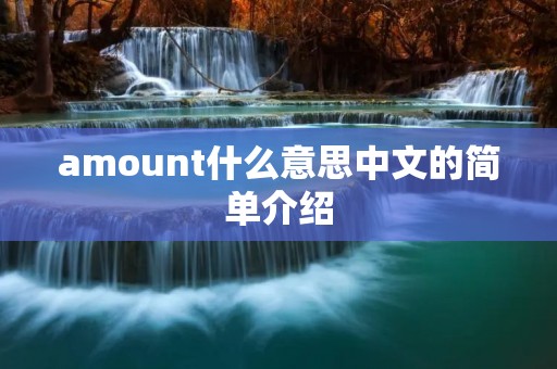 amount什么意思中文的简单介绍