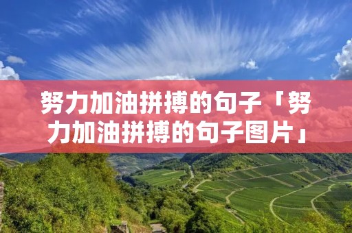 努力加油拼搏的句子「努力加油拼搏的句子图片」