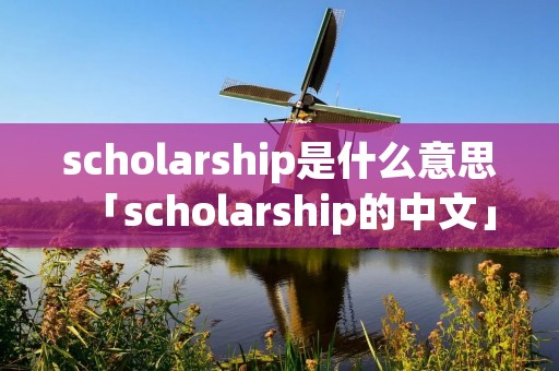 scholarship是什么意思「scholarship的中文」