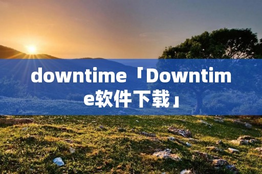 downtime「Downtime软件下载」