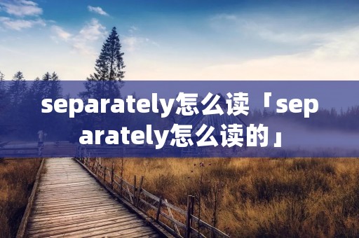 separately怎么读「separately怎么读的」