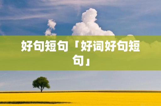 好句短句「好词好句短句」