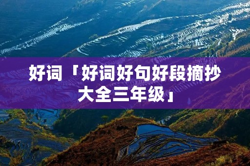 好词「好词好句好段摘抄大全三年级」