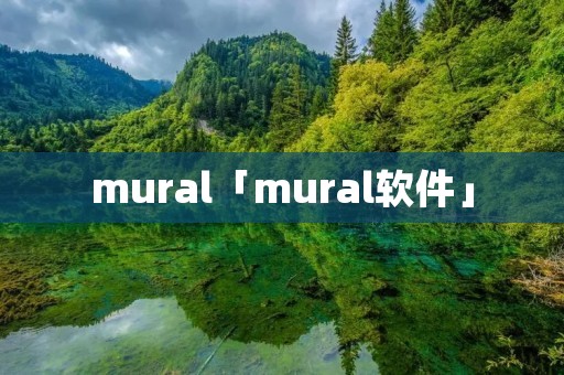 mural「mural软件」 mural「mural软件」