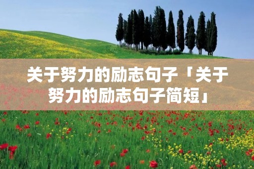 关于努力的励志句子「关于努力的励志句子简短」