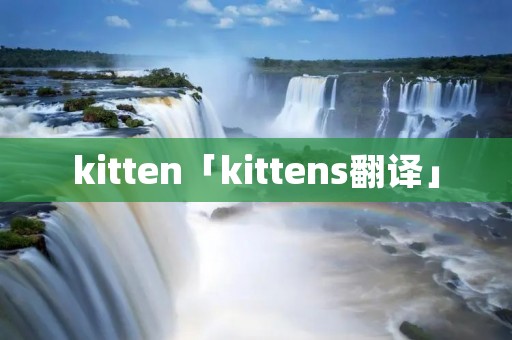 kitten「kittens翻译」