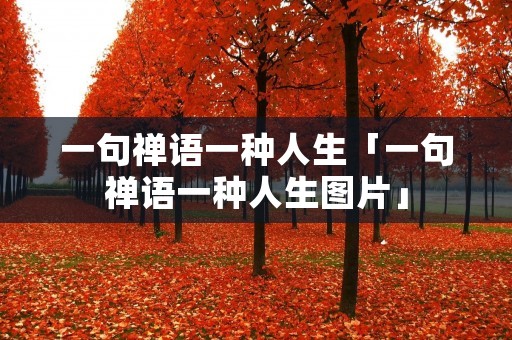 一句禅语一种人生「一句禅语一种人生图片」 一句禅语一种人生「一句禅语一种人生图片」