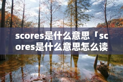 scores是什么意思「scores是什么意思怎么读」