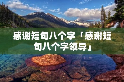 感谢短句八个字「感谢短句八个字领导」