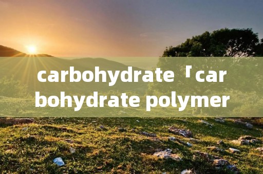 carbohydrate「carbohydrate polymers中文名」