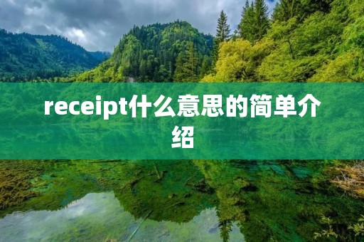 receipt什么意思的简单介绍