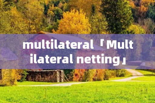 multilateral「Multilateral netting」