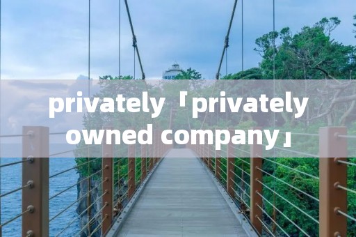 privately「privatelyowned company」
