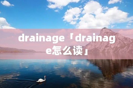 drainage「drainage怎么读」