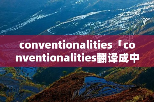 conventionalities「conventionalities翻译成中文」