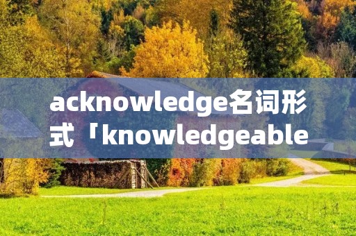 acknowledge名词形式「knowledgeable名词」