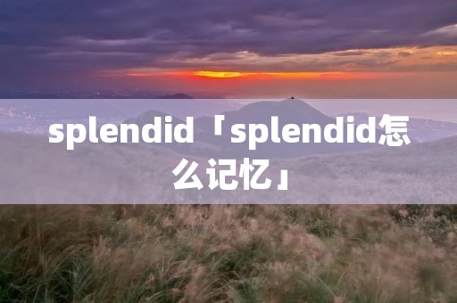 splendid「splendid怎么记忆」