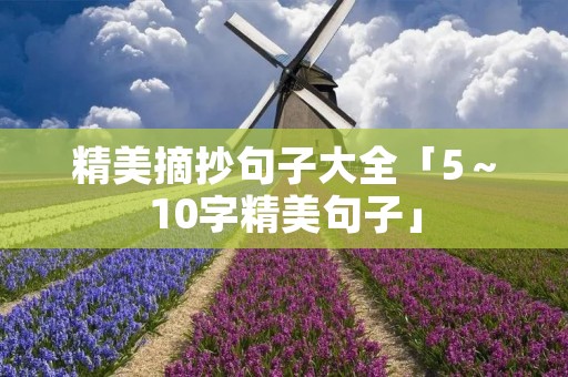 精美摘抄句子大全「5~10字精美句子」