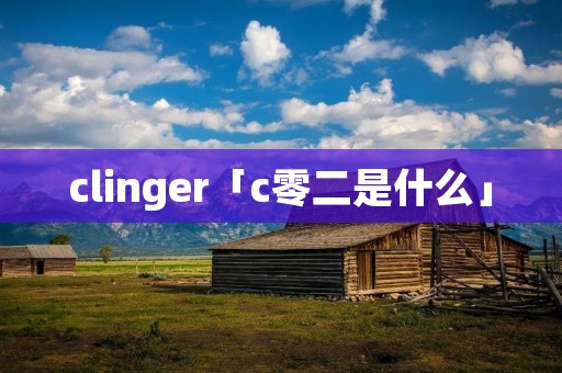 clinger「c零二是什么」 clinger「c零二是什么」