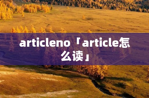articleno「article怎么读」