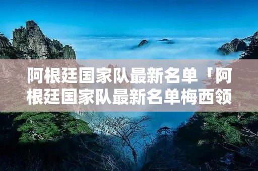 阿根廷国家队最新名单「阿根廷国家队最新名单梅西领衔」